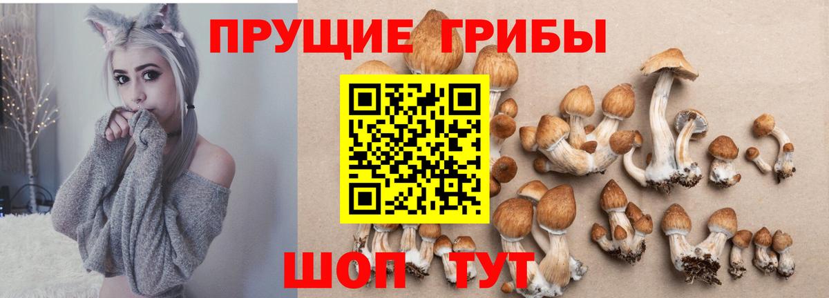 Галлюциногенные грибы Psilocybine cubensis  Вход с VPN  магазин  наркотиков  Галлюциногенные грибы мицелий  Озёрск 